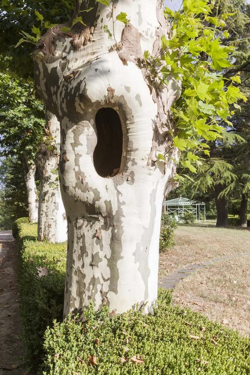 Bricco Pogliani Hotel CastellʼAlfero Kültér fotó